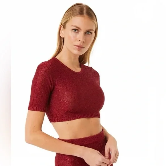 NWT MISA Los Angeles Darya Sparkle Sequin Crop Top in Lipstick Red Sz Medium